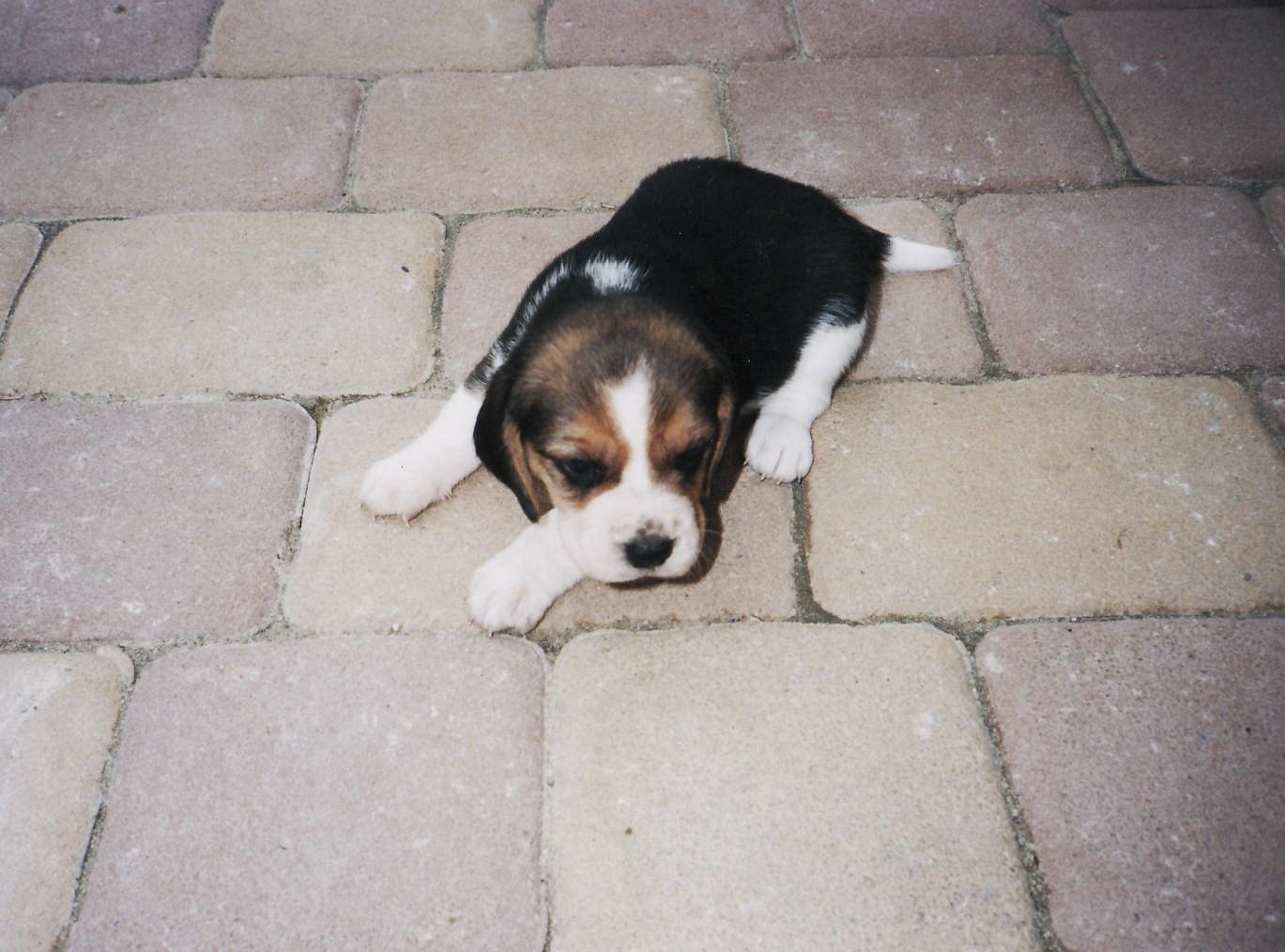 IMG.jpg